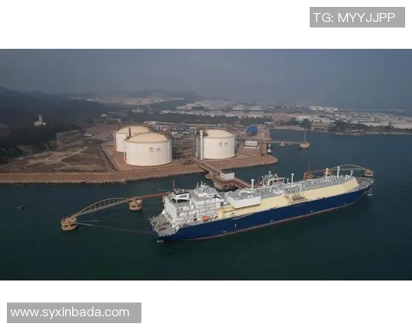 深入分析LNG市场的竞争策略与阵地战打法全景解读